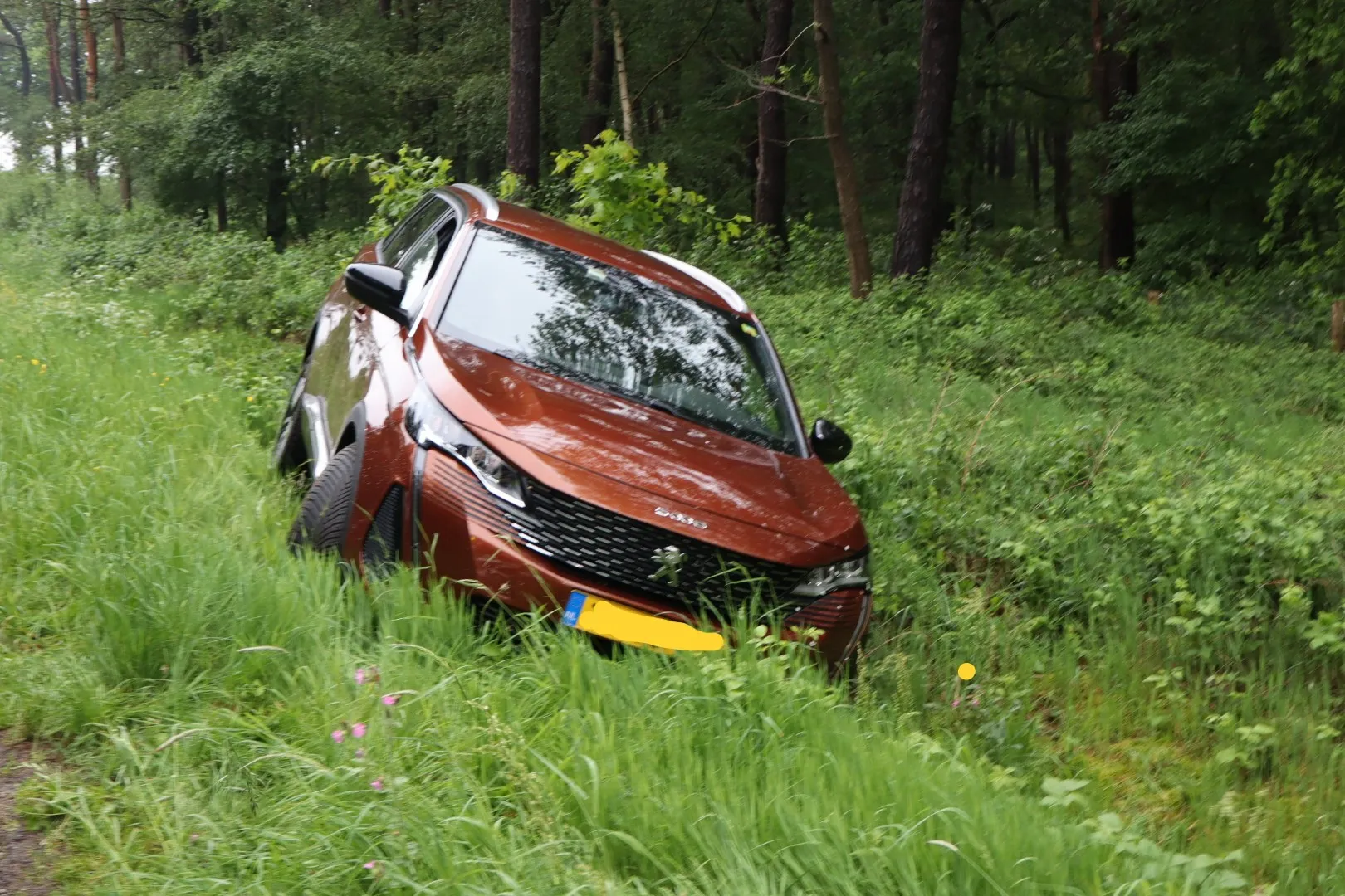 20240517185222 img 8708