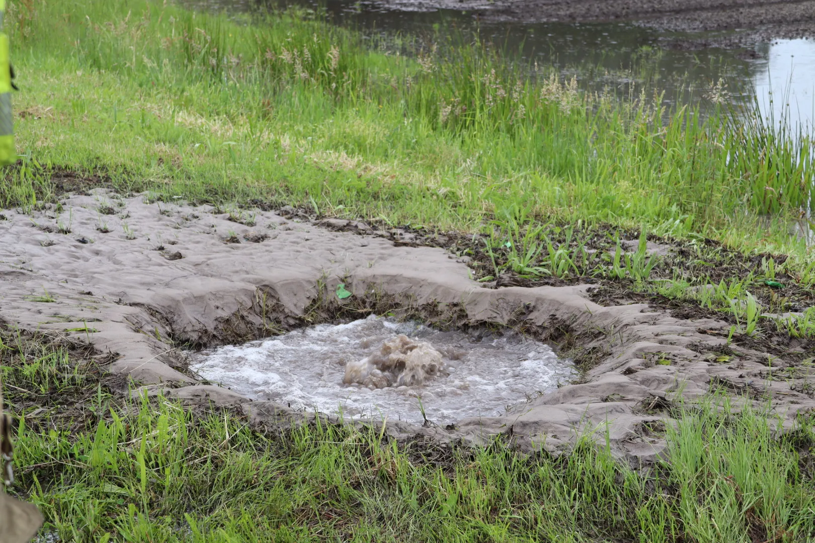 20240526135612 img 8873