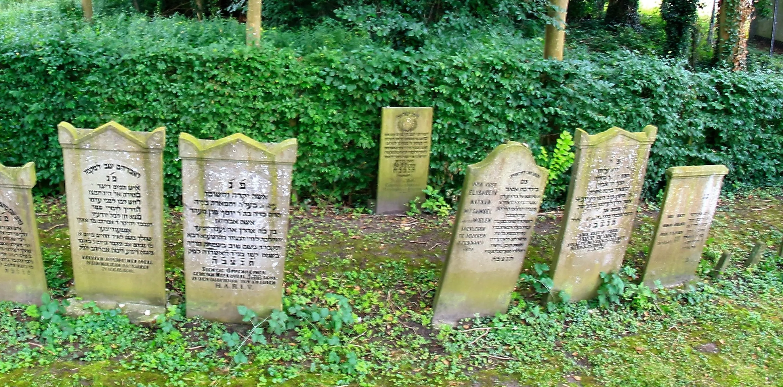 22222222222222222222