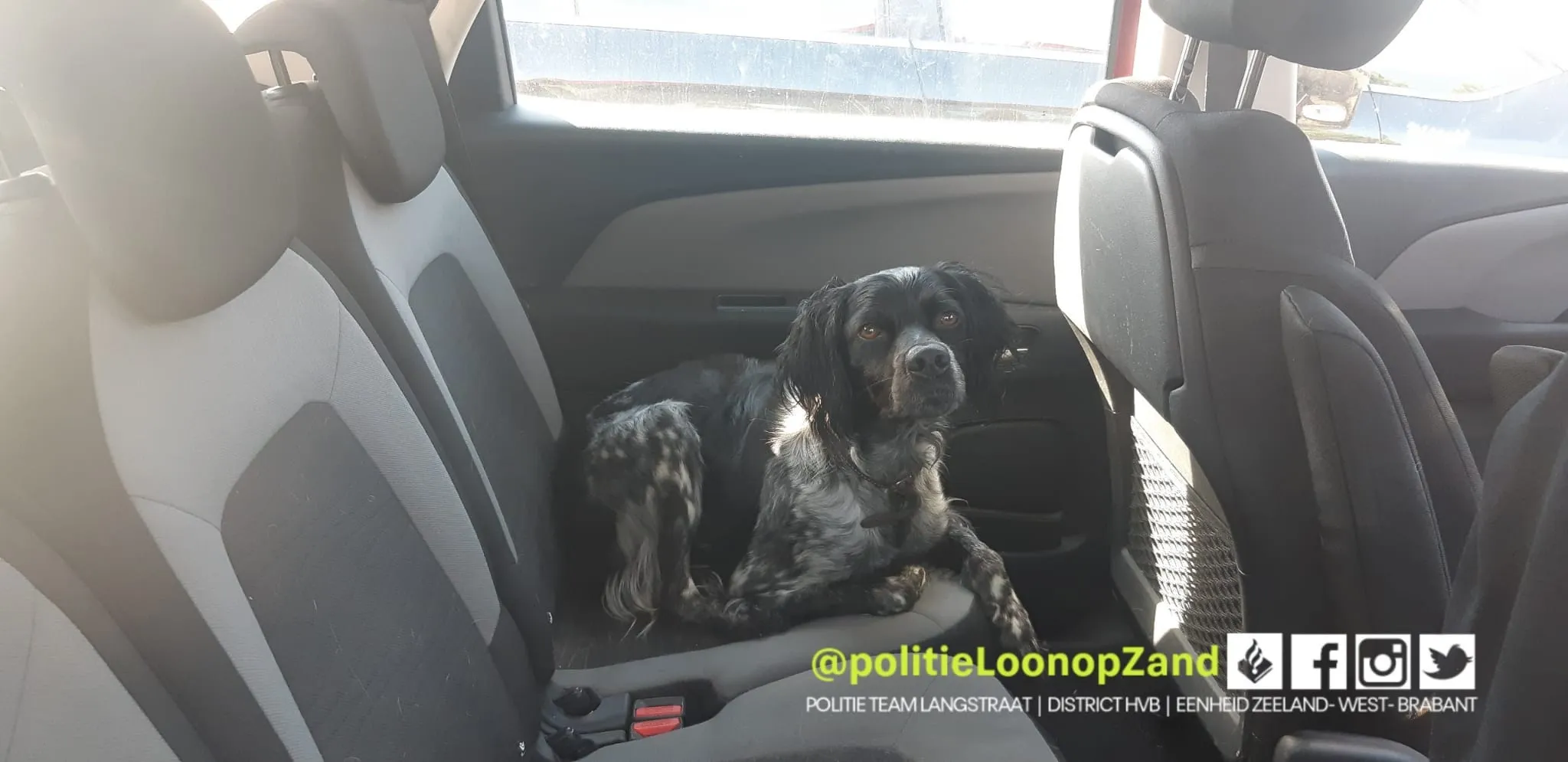 235135797 105661711828377 6091896100994132951 n