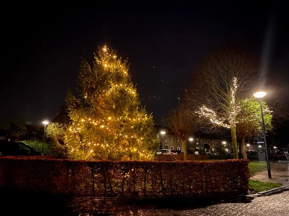 264931979 4558112947575506 6774878519145278353 n