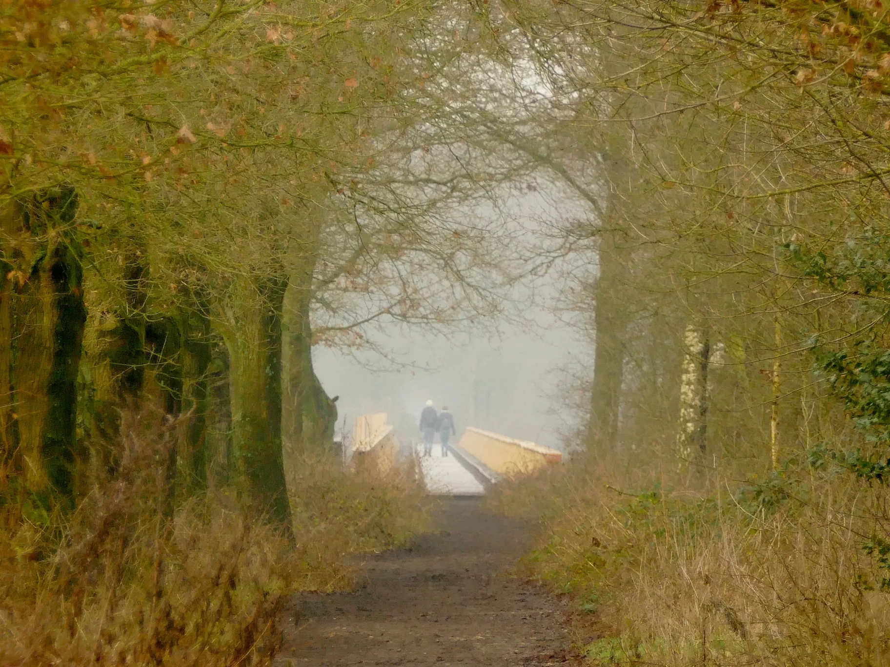 271723211 4736302233079290 4580723169498700075 n