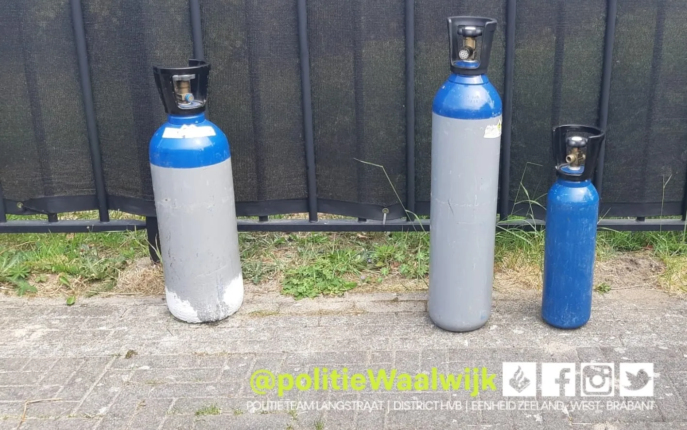 280032788 359799346181291 1482054357634785405 n