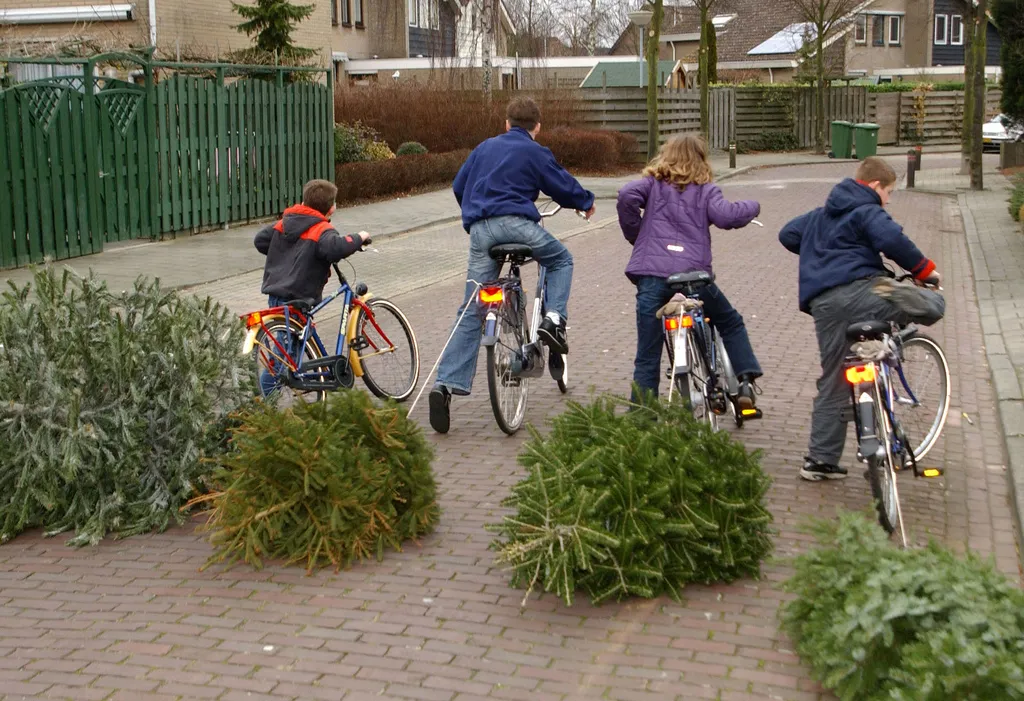 3062636455 b42106d1ee b