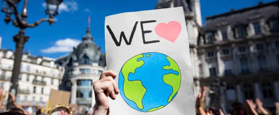 30687289838 56ff3130e9 o