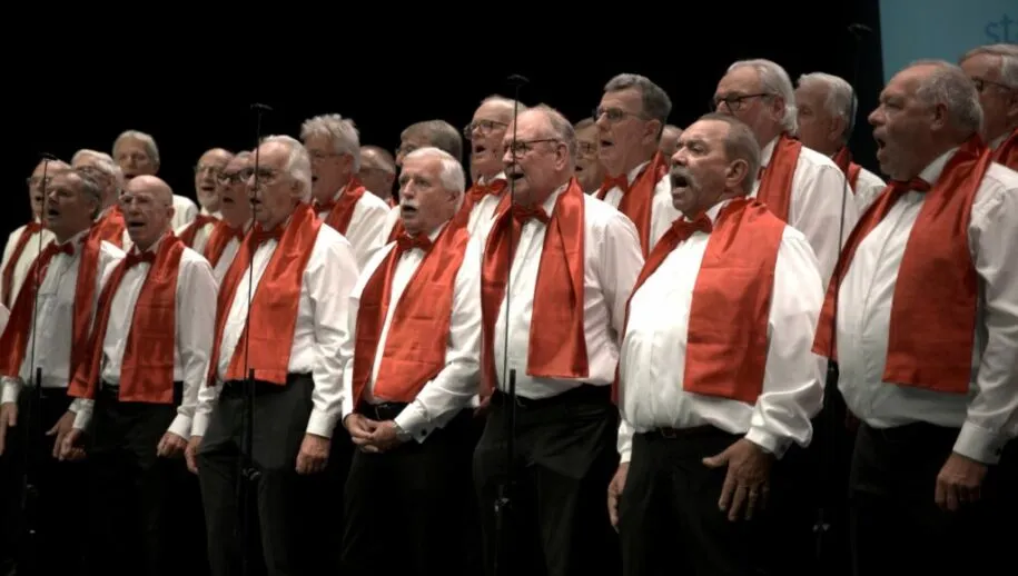 32 1 1024x707 1 915x518 1