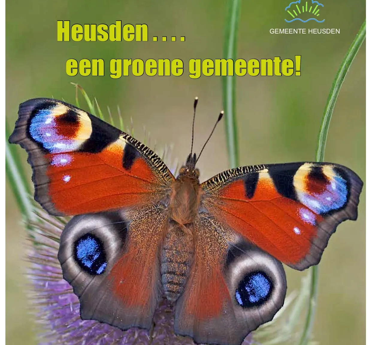 333333333333333333333333333333