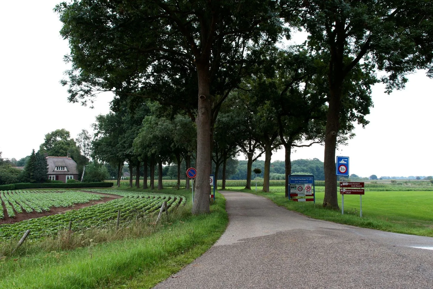 340954351 1375116793312306 2345381124215050515 n