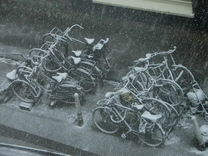 3428024713 6578064d92 o