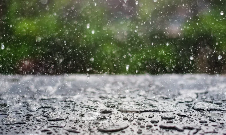 386550570 727608939406614 4701700995275422679 n