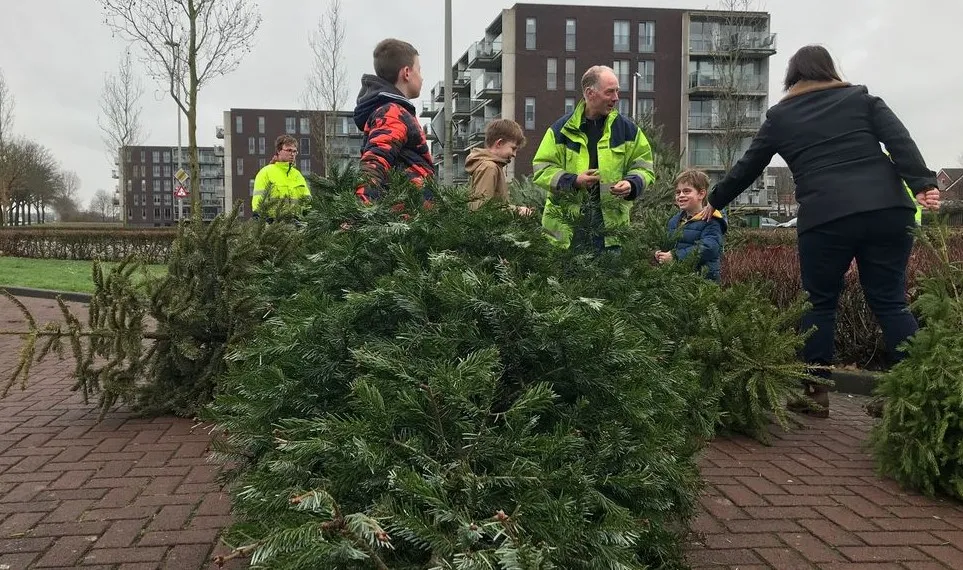 412868716 801291012038406 1730365864659308232 n