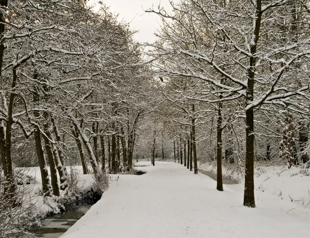 4240077971 9f9911c70c b