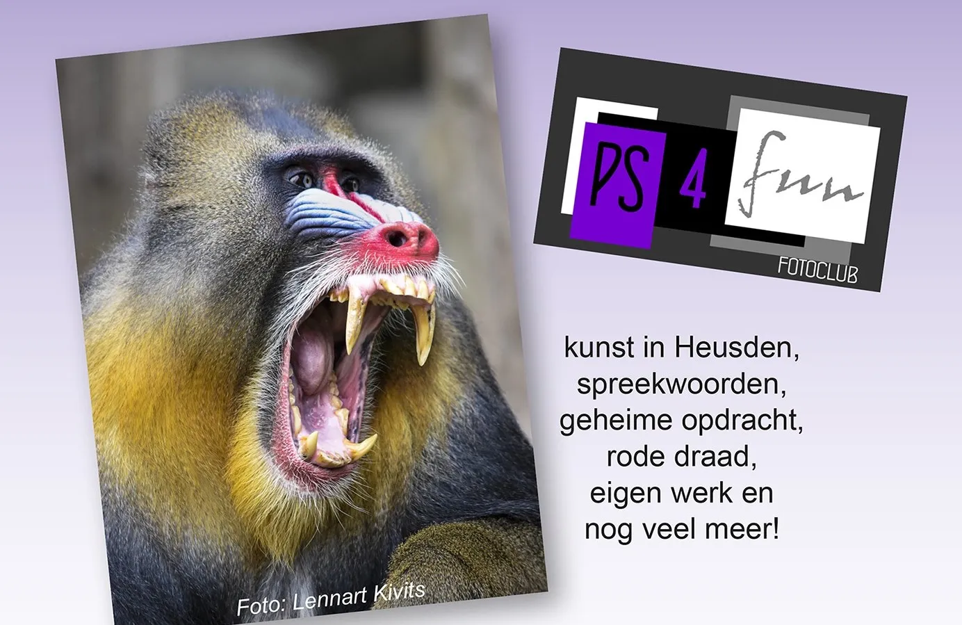 444444444444444444444