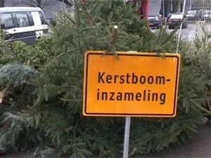 47564 fullimage kerstboomactie