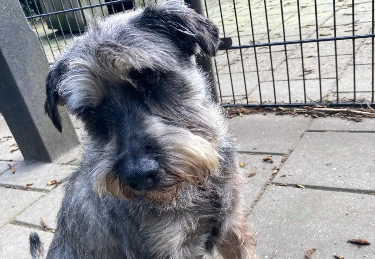 540491d0 759a 41c1 ad92 d7780367245d