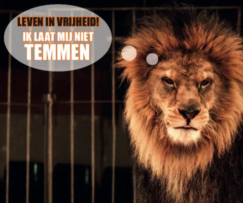 5d6cf4867b853532647645