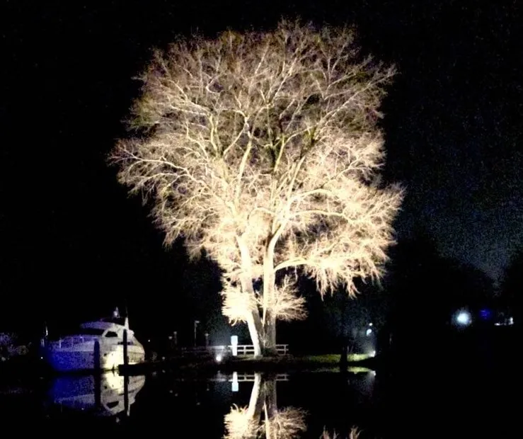 69d8e3ab 71ed 4b15 a937 03cd551cf0b5