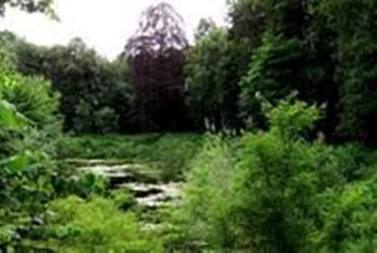 7a12c672 878d 4298 b345 6d1e1319ef1b