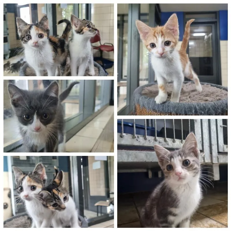 7eeccf30 af41 7f72 8bcdce315efaaf60