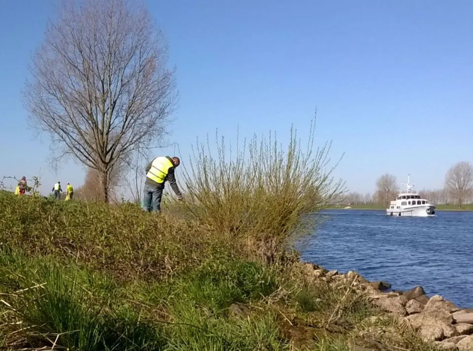 86993111 2739954726082081 2367569407313444864 o