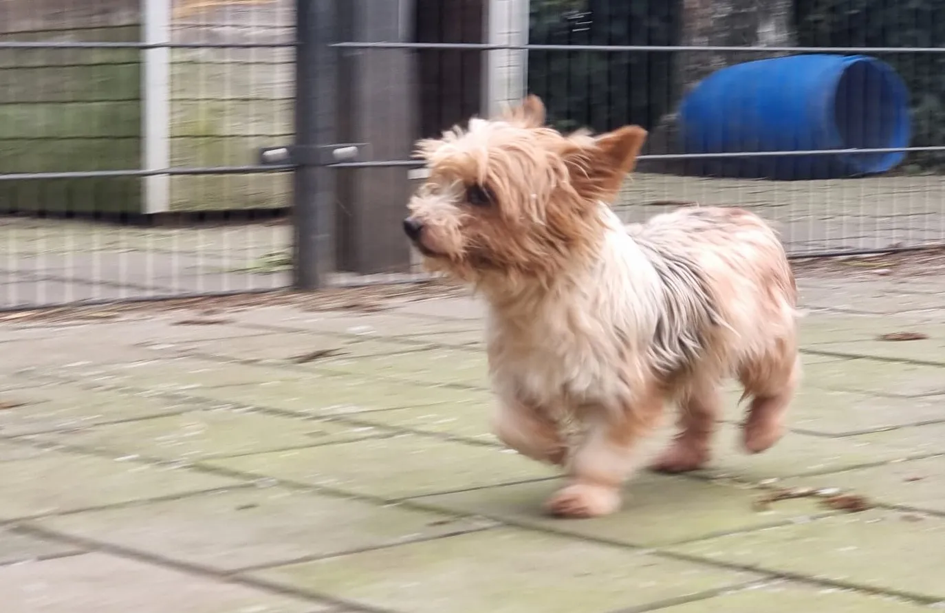 a29b7430 361a 4fcd 94fd d48ffbe25761