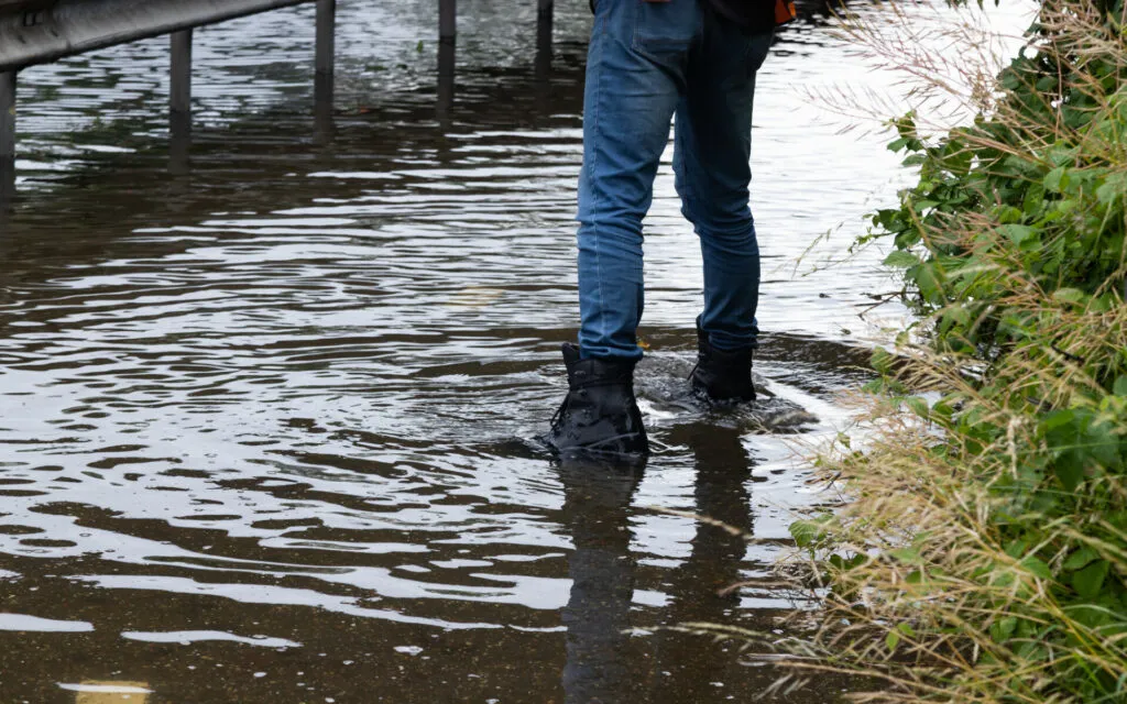 bart meesters 20220606141941 1 1024x640 1