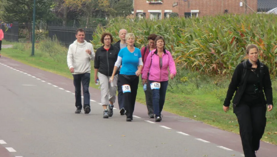 belgie 2014 014 915x518 1