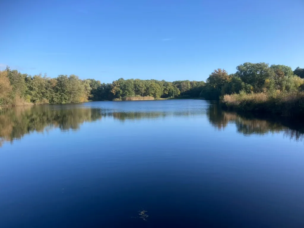 bf13823f 1db0 4458 8a5f 32548143fa0a 1 105 c