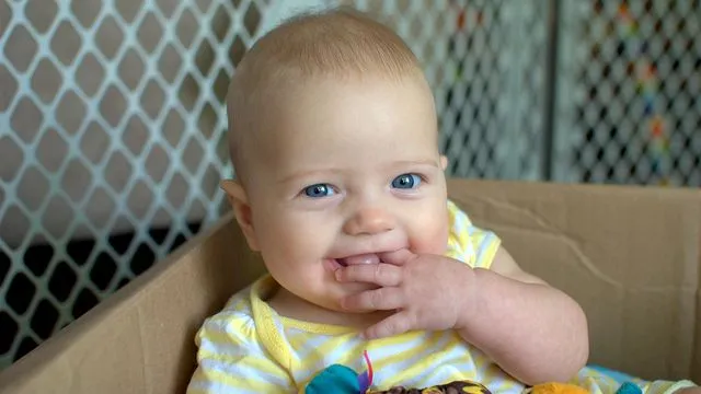 bf2ij3pr7pt2srg8t2cz0obgu 91607713090b88ba7e9bz