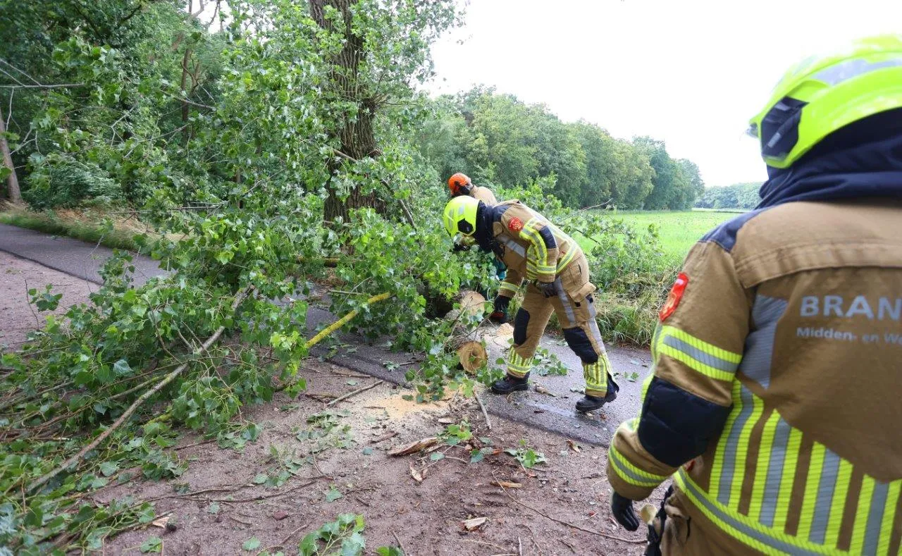 boom over de weg esscebaan 1
