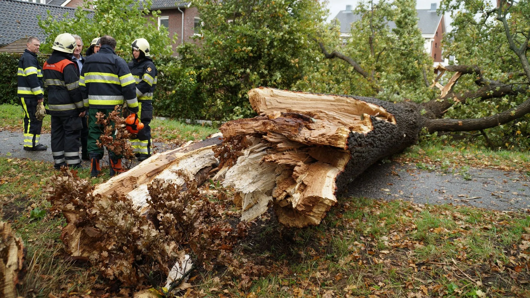 bw4wv2j9fvf12ux3ni1k9zpnw dsc09189