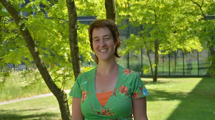 cc75c645 e686 4fd6 a28d 3578af4fd34e