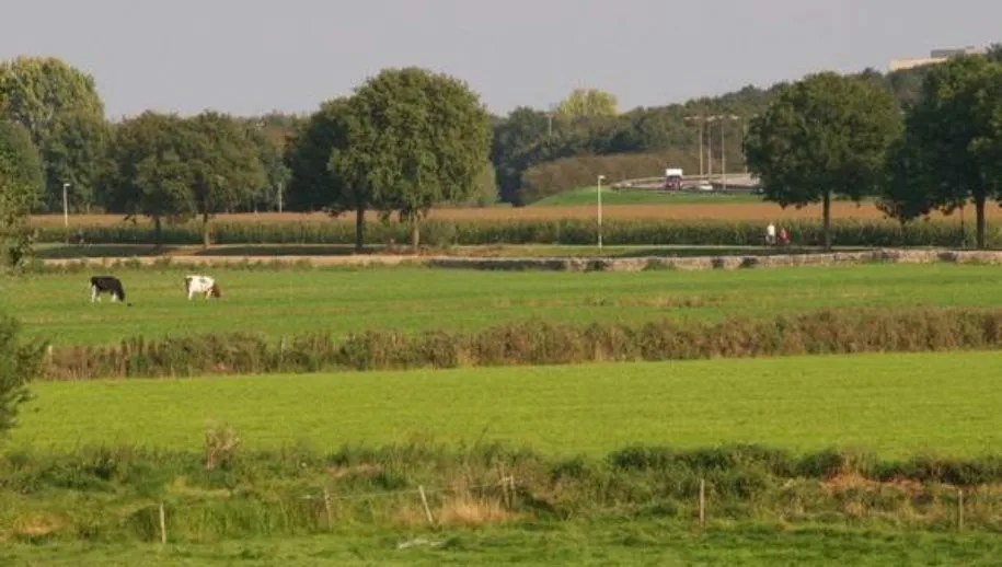 csm 7 reserve aansluiting 45 f9b7527363 915x518 1 915x518 1