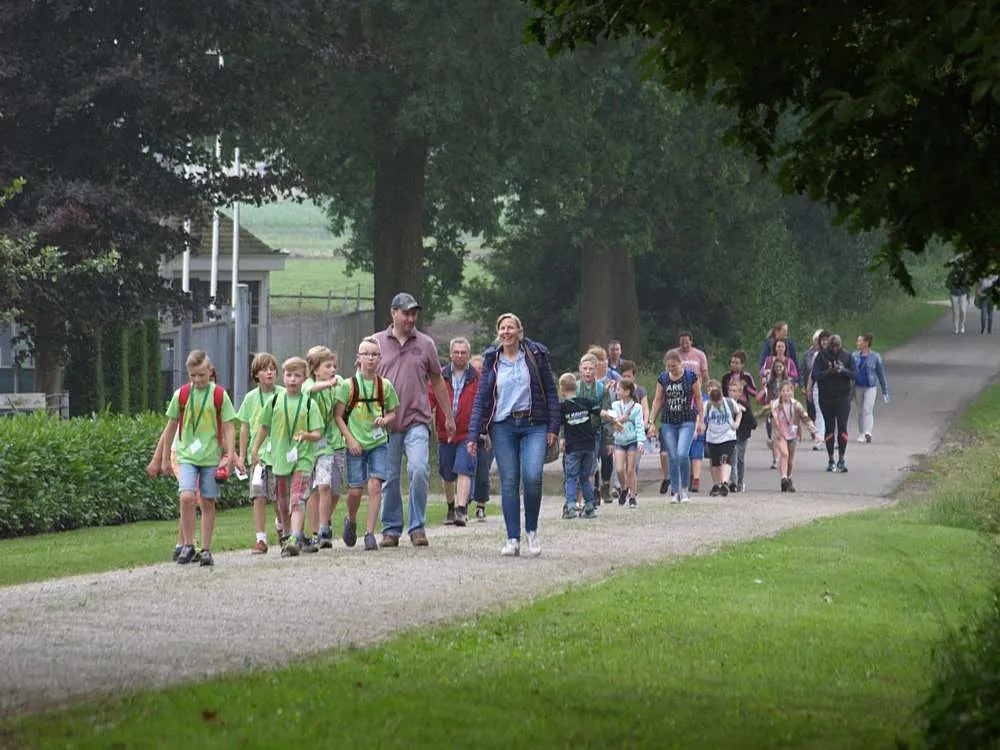 d4 019 20180603003044280