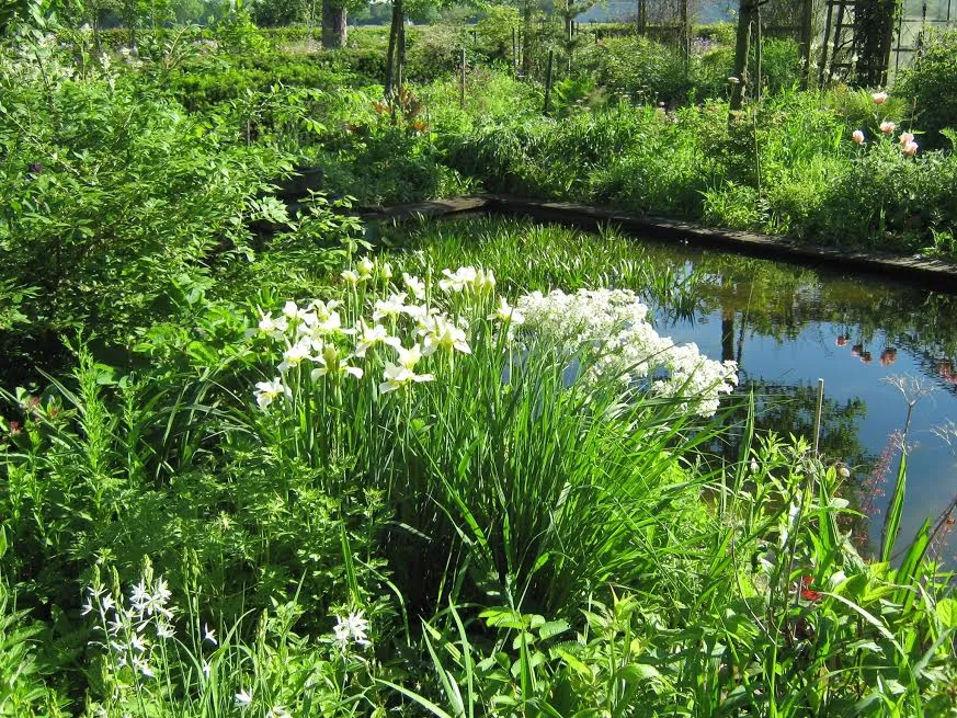 da0ed985 2155 4c33 9782 fc22fecf05e2