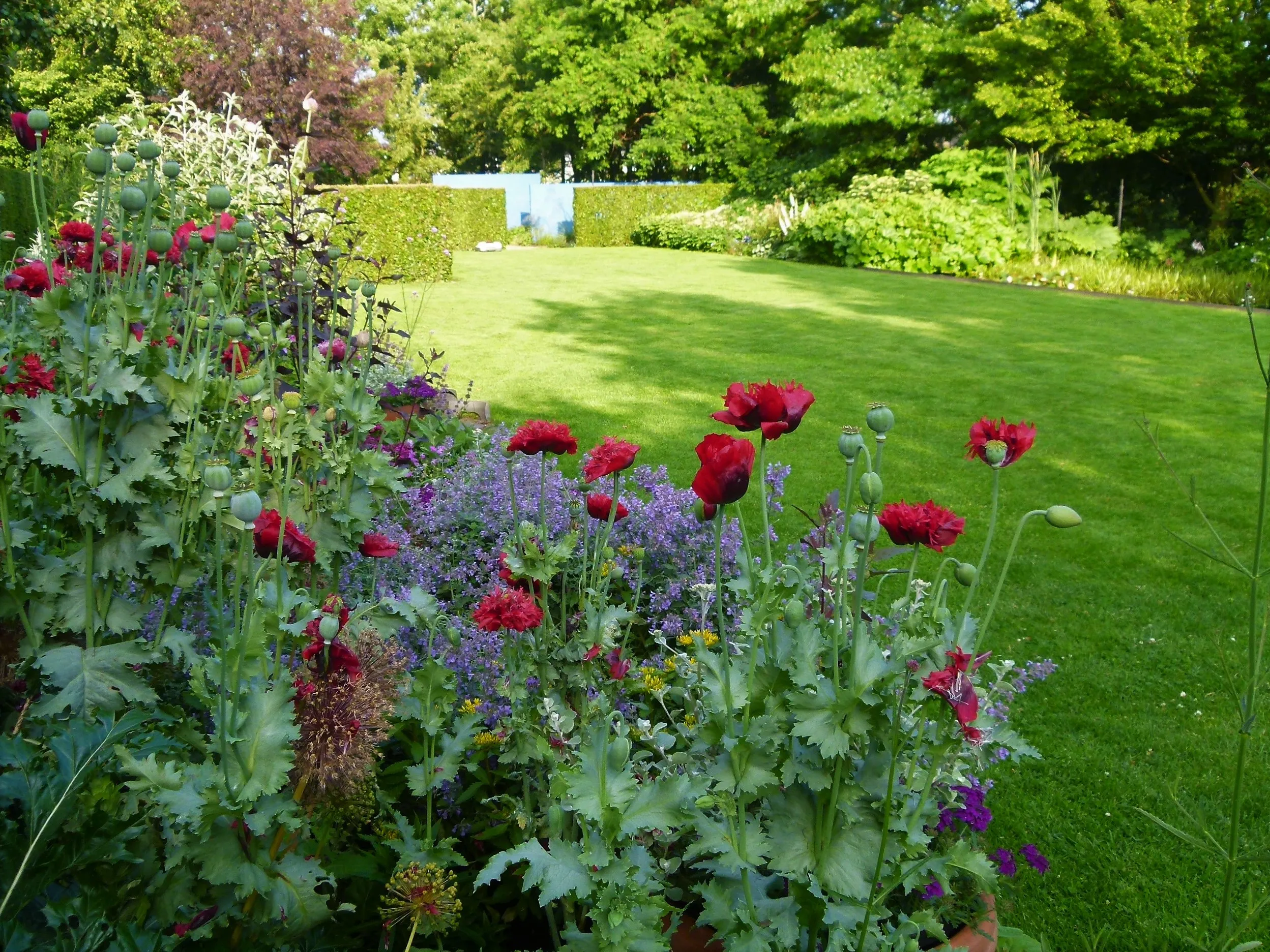 de dijkgaerd kaatsheuvel 2