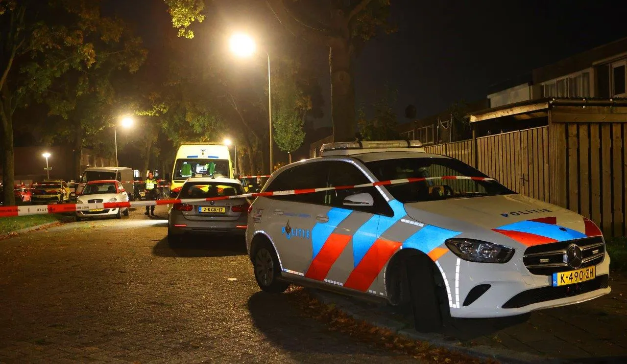 dodelijke steekpartij den bosch 8