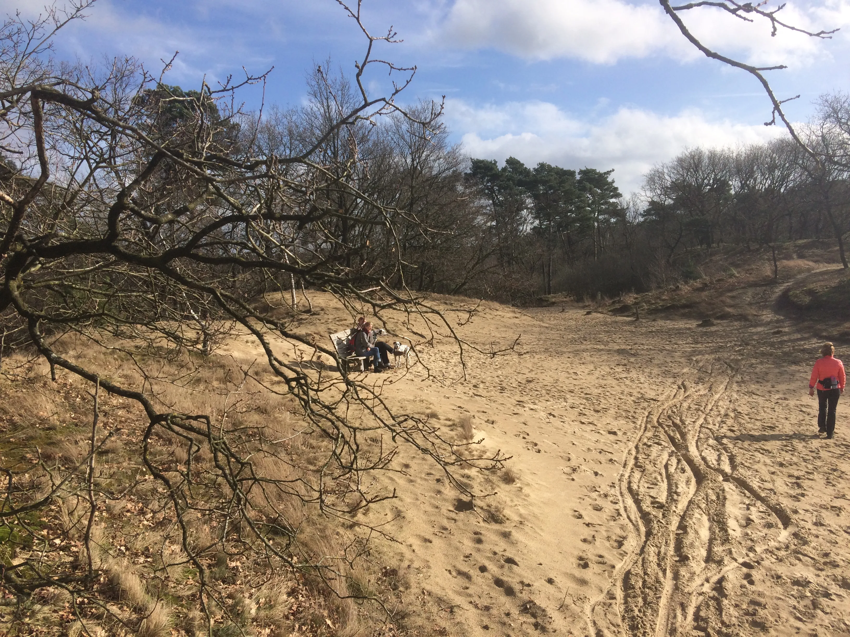 drunen natuur ldd duinen doorkijkje fiets sporen mensen bankje