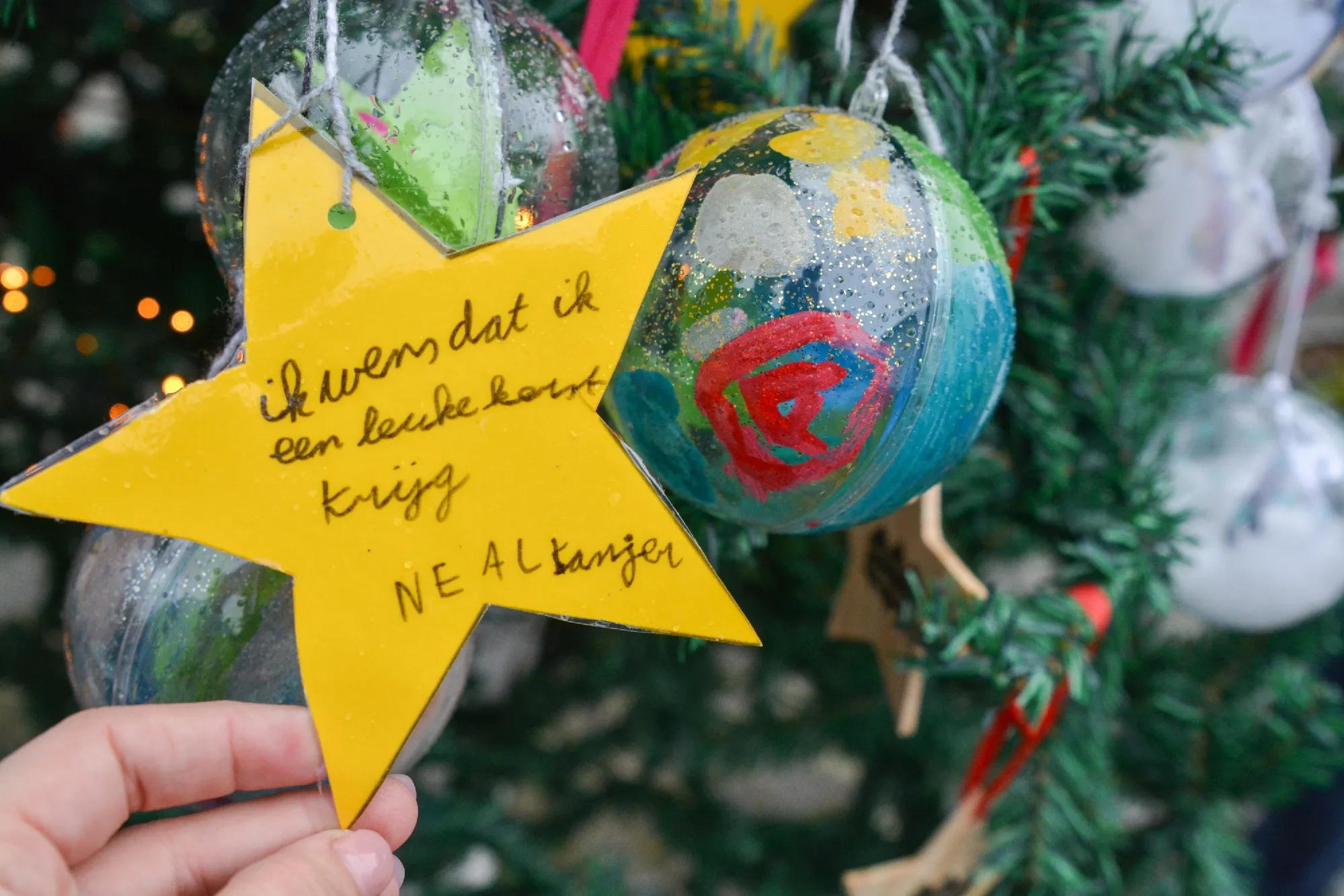 dsc 0232 1 resize 10