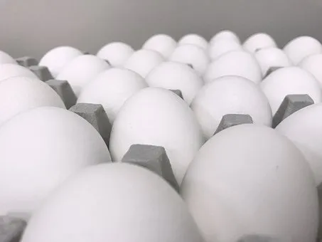 eggs 2263973 340