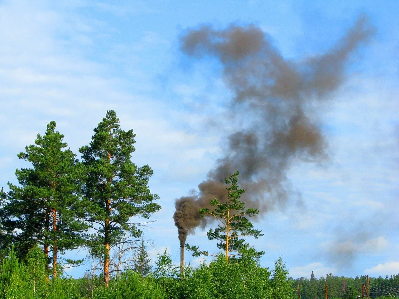 environment pollution 1355416 1280