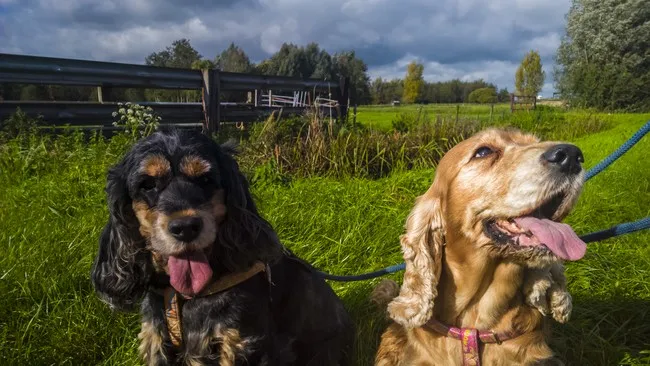 ey4dv2l2hvbgpvv0hh0km3qnd wp20141020125839rawhighres1