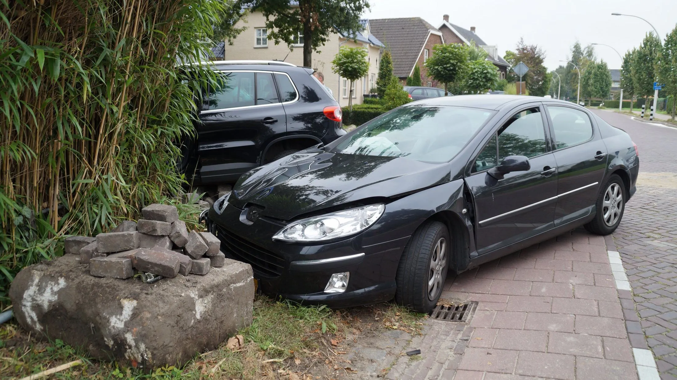 f8uie9sycxvr5z9tfr9yksegb dsc08727