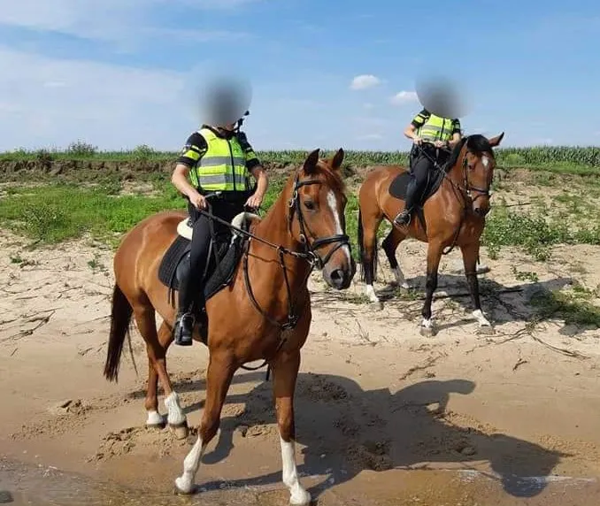 fb img 1596269240344