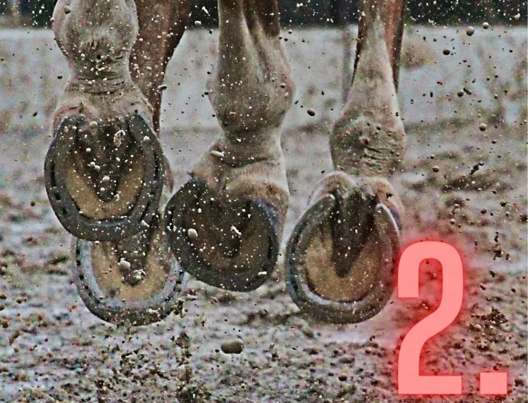 fb img 1698357531616 1