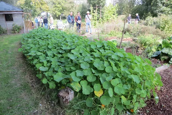 fjwwb nl public o p w dezwollemoer co6khy img 2238