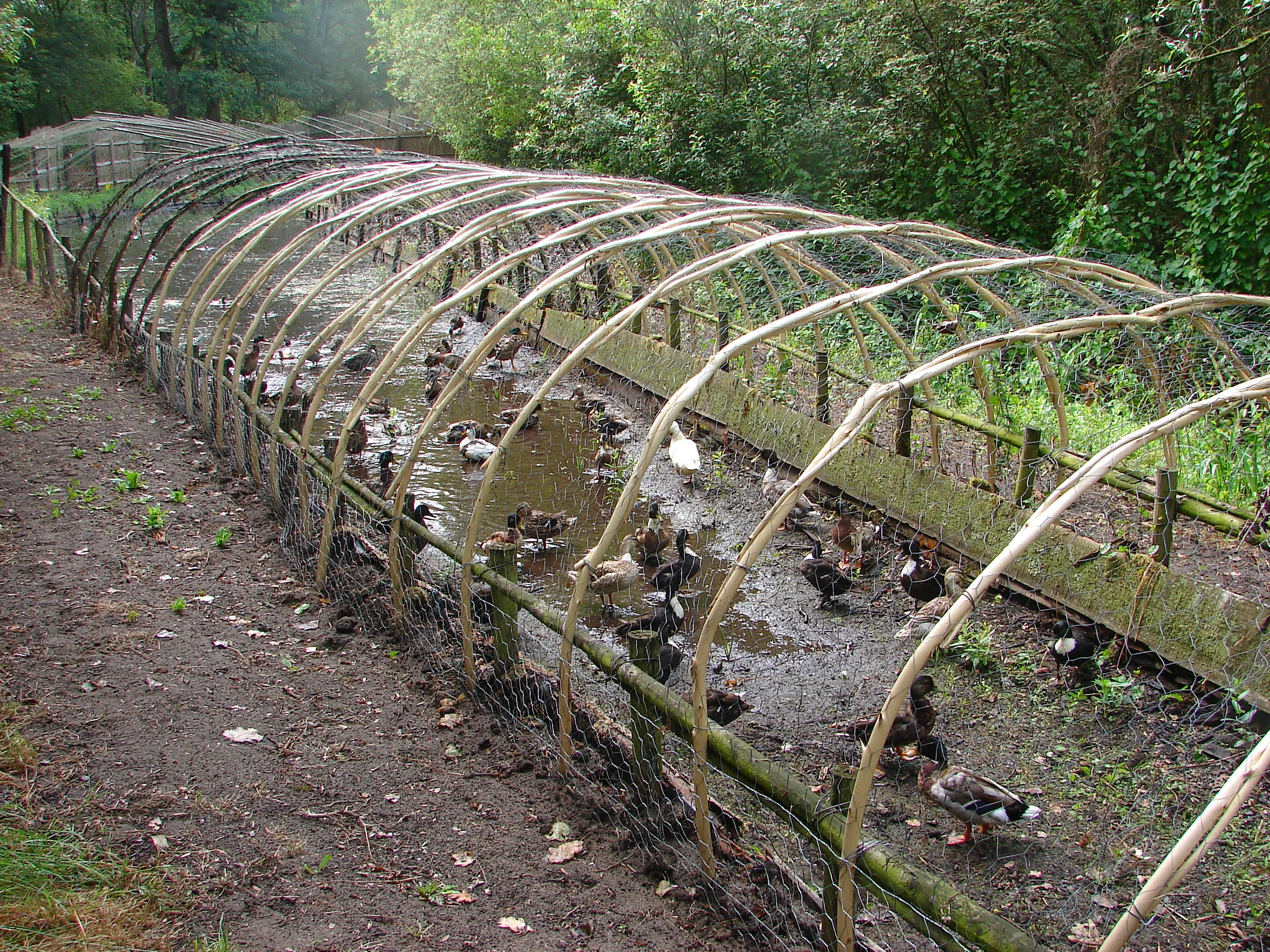 foto fons mandigers eendenkooi lezing 1 dsc00705