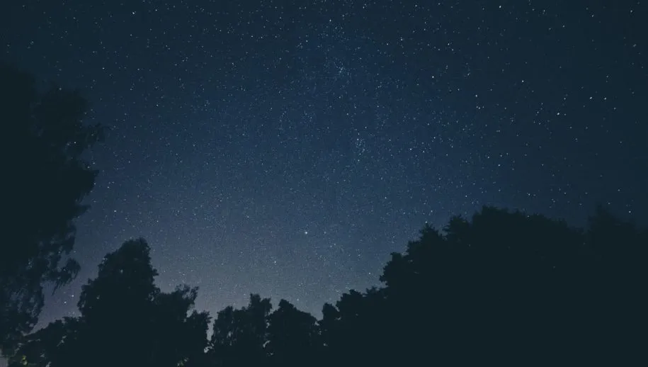 foto pb nacht van de nacht 915x518