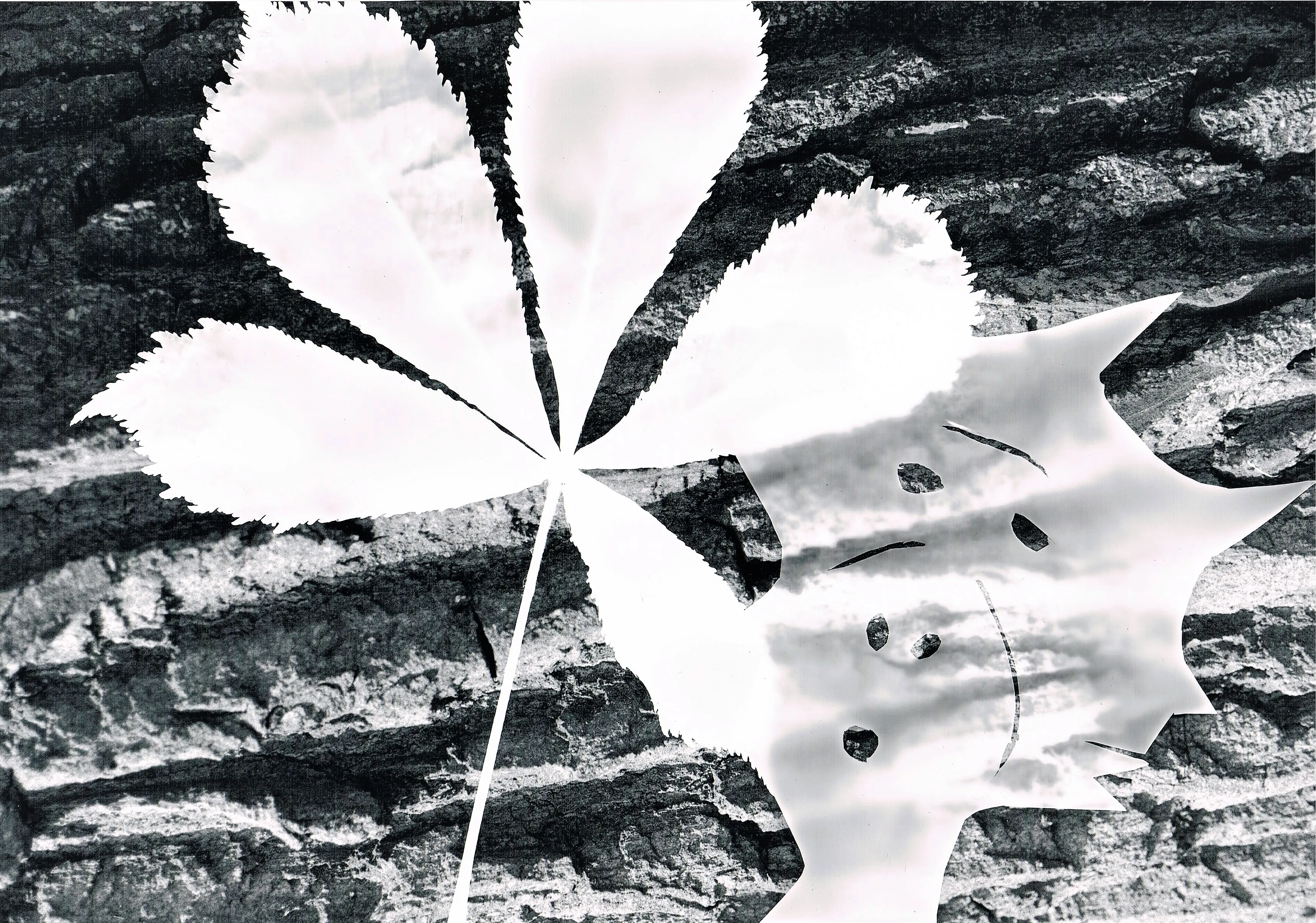 fotografiek 2 dokaclub waalwijk