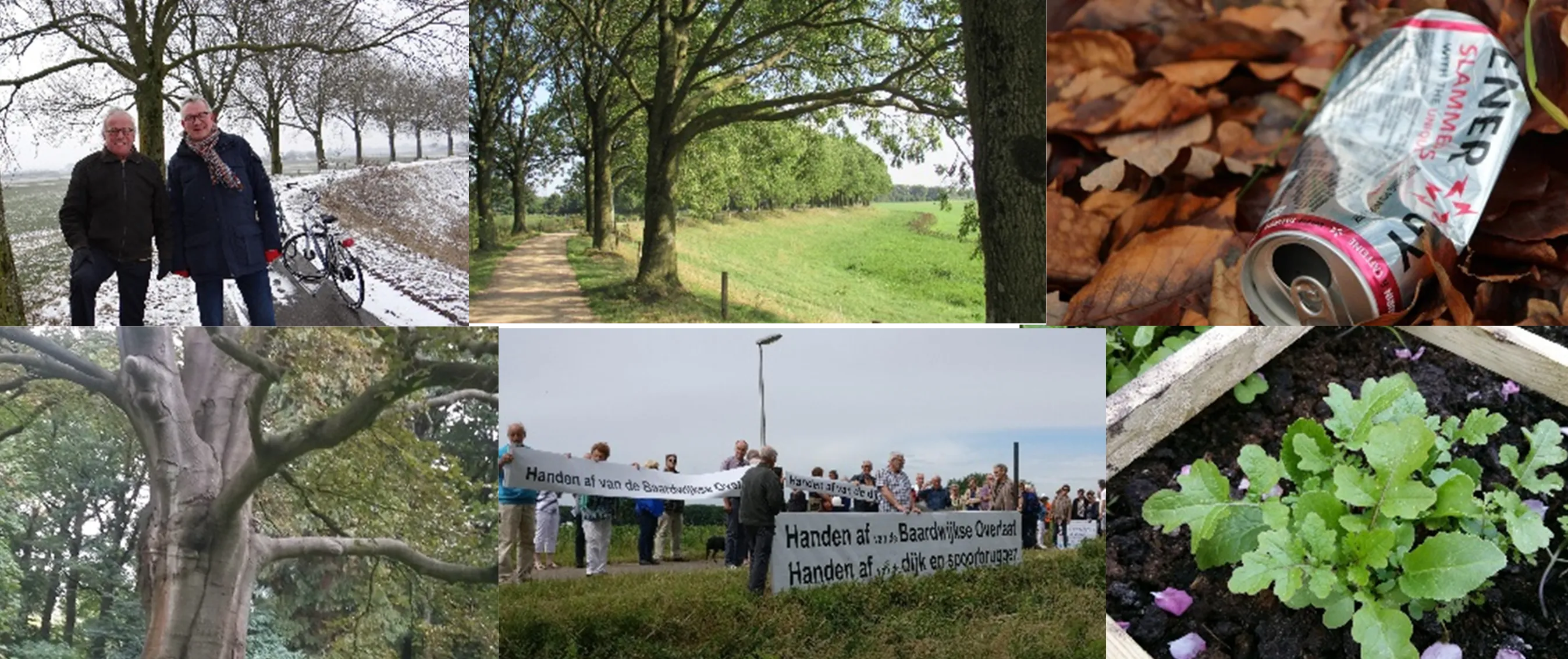 fotos natuur en klimaat